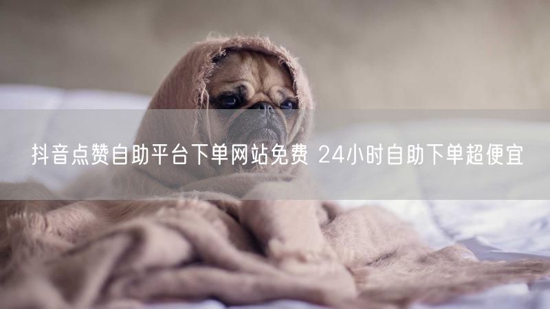 抖音点赞自助平台下单网站免费 24小时自助下单超便宜