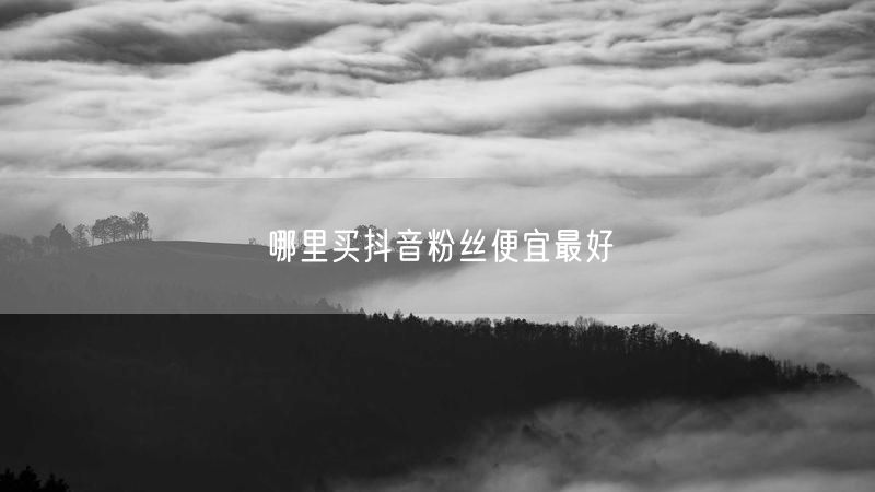哪里买抖音粉丝便宜最好