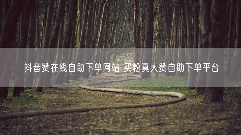 抖音赞在线自助下单网站 买粉真人赞自助下单平台