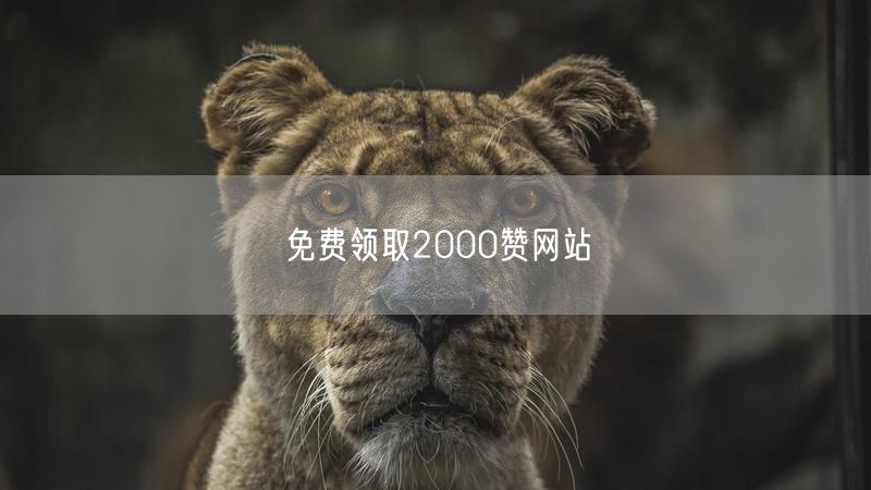 免费领取2000赞网站