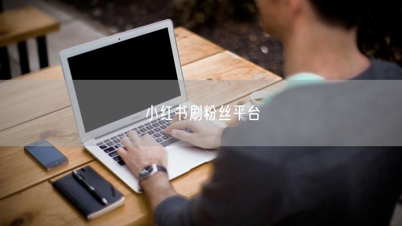 小红书刷粉丝平台