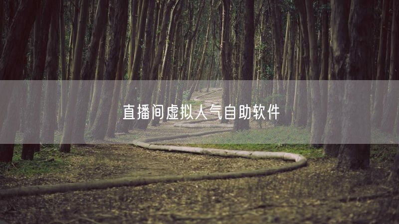 直播间虚拟人气自助软件