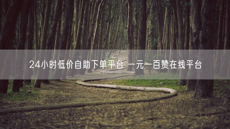 24小时低价自助下单平台 一元一百赞在线平台