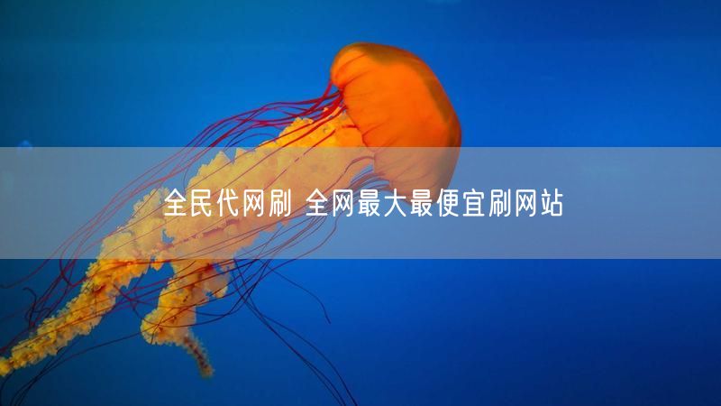 全民代网刷 全网最大最便宜刷网站