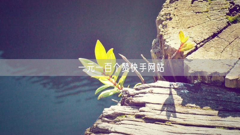 一元一百个赞快手网站