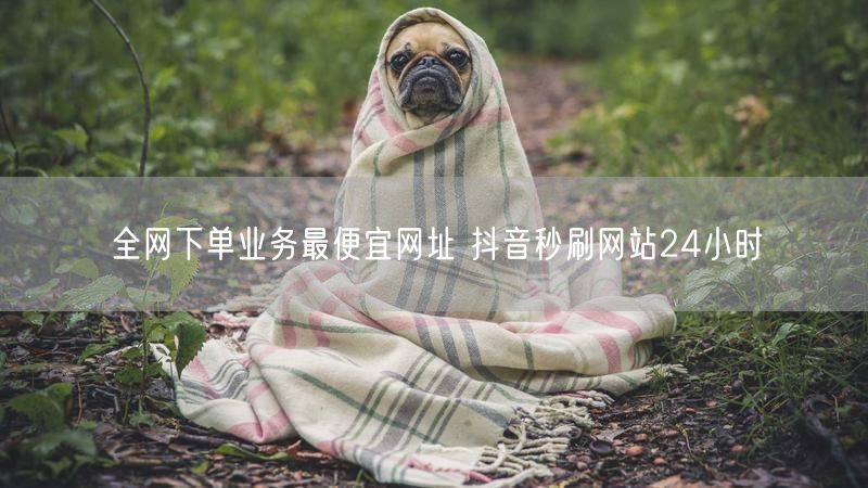 全网下单业务最便宜网址 抖音秒刷网站24小时