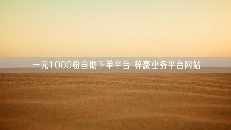 一元1000粉自助下单平台 梓豪业务平台网站