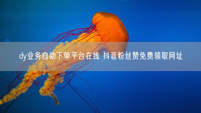 dy业务自助下单平台在线 抖音粉丝赞免费领取网址