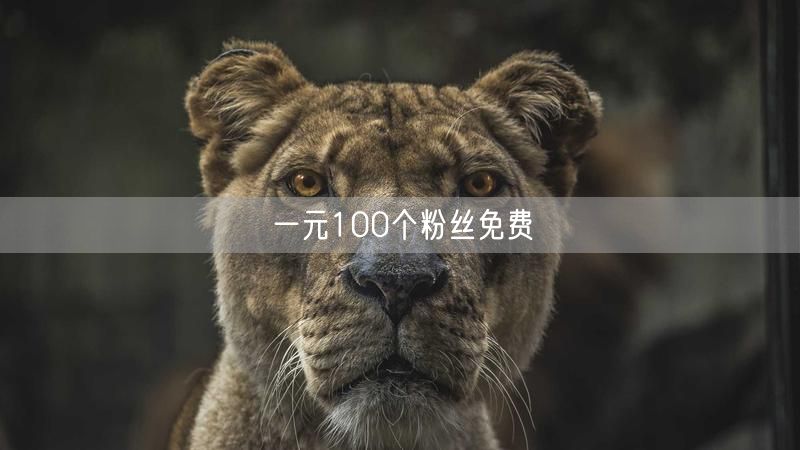 一元100个粉丝免费