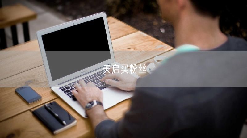 天启买粉丝