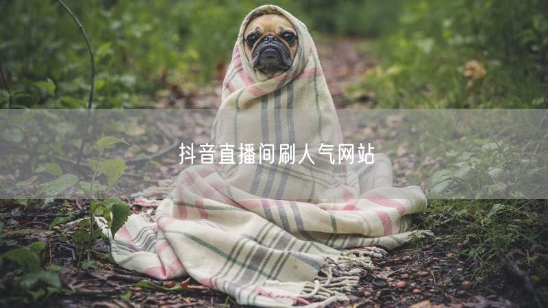 抖音直播间刷人气网站