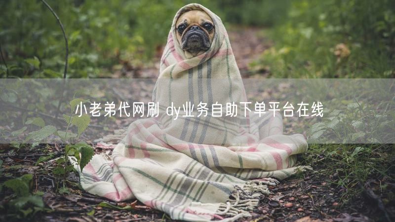 小老弟代网刷 dy业务自助下单平台在线