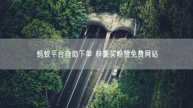 蚂蚁平台自助下单 梓豪买粉赞免费网站
