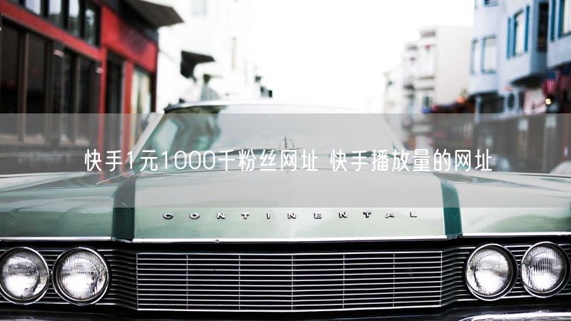 快手1元1000千粉丝网址 快手播放量的网址