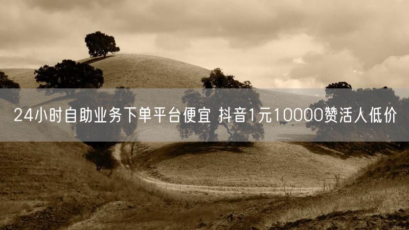 24小时自助业务下单平台便宜 抖音1元10000赞活人低价