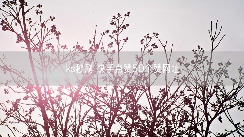ks秒刷 快手点赞50个赞网址