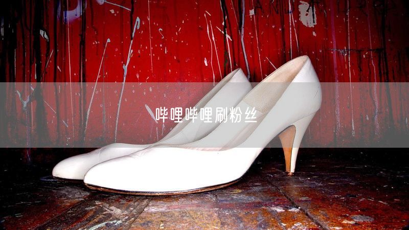 哔哩哔哩刷粉丝