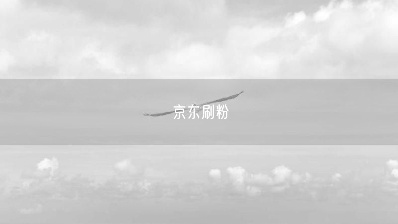 京东刷粉