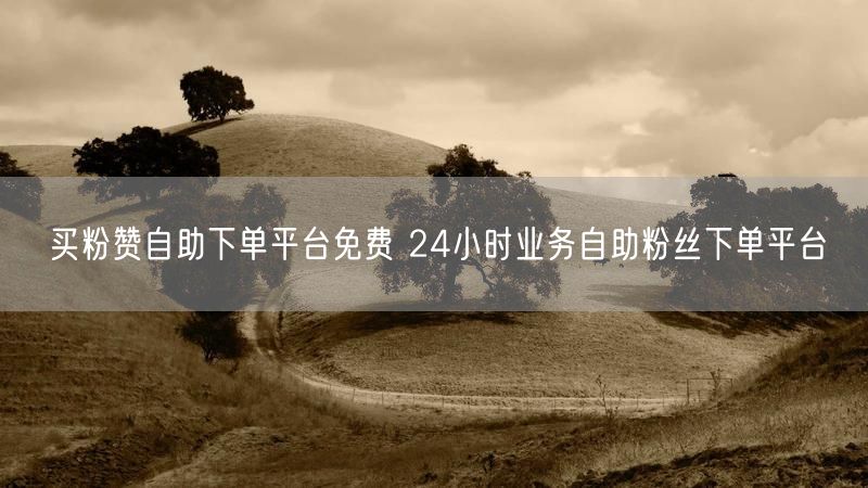 买粉赞自助下单平台免费 24小时业务自助粉丝下单平台