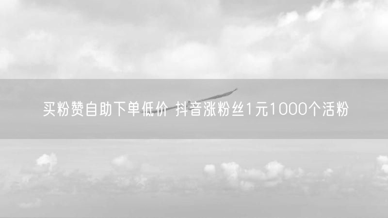 买粉赞自助下单低价 抖音涨粉丝1元1000个活粉