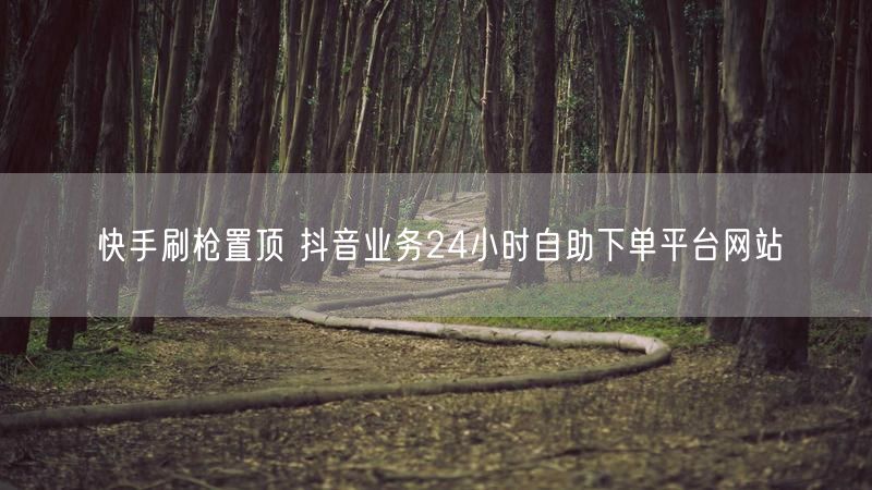 快手刷枪置顶 抖音业务24小时自助下单平台网站