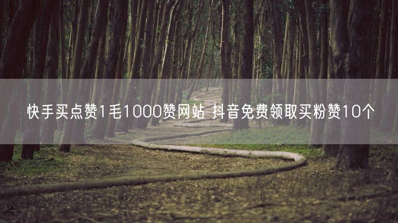 快手买点赞1毛1000赞网站 抖音免费领取买粉赞10个