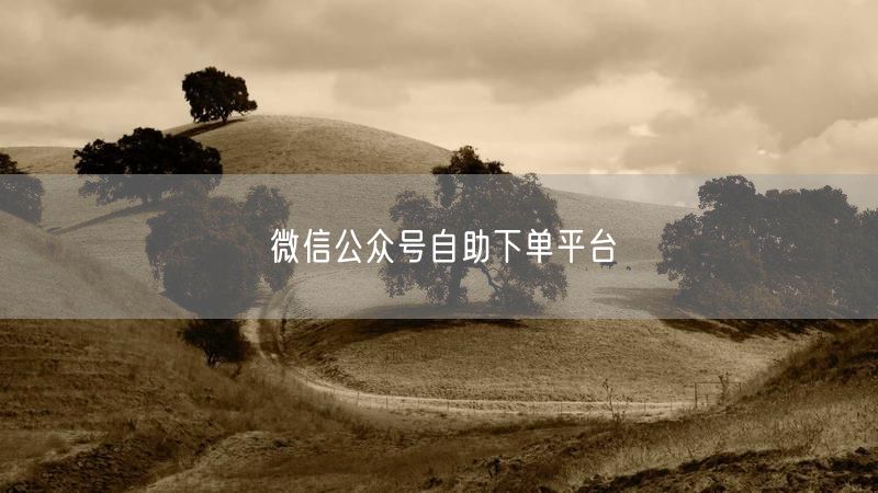 微信公众号自助下单平台