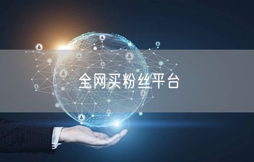 全网买粉丝平台