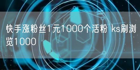 快手涨粉丝1元1000个活粉 ks刷浏览1000