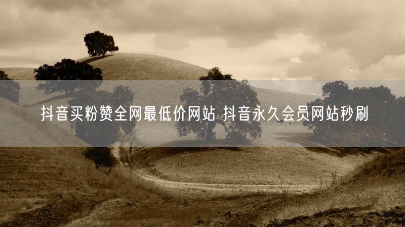 抖音买粉赞全网最低价网站 抖音永久会员网站秒刷
