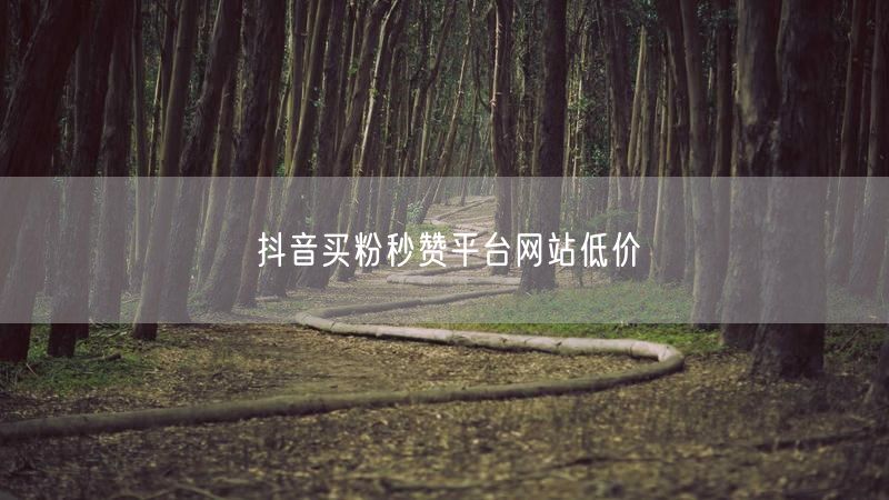 抖音买粉秒赞平台网站低价