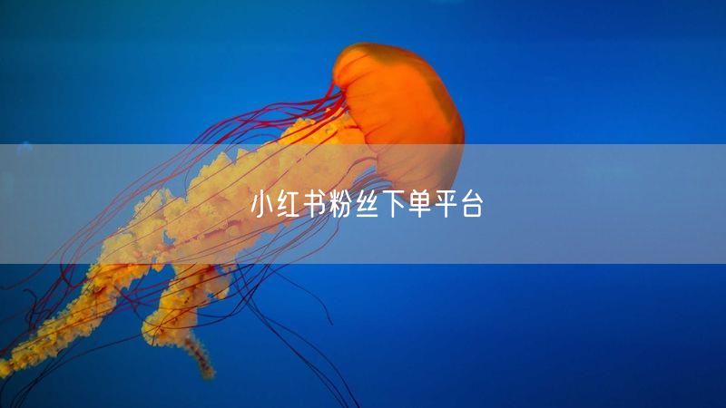 小红书粉丝下单平台