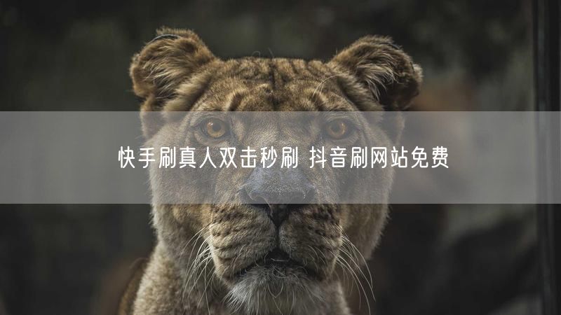 快手刷真人双击秒刷 抖音刷网站免费