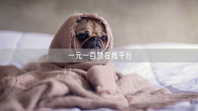 一元一百赞在线平台