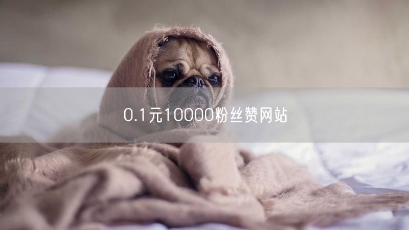 0.1元10000粉丝赞网站