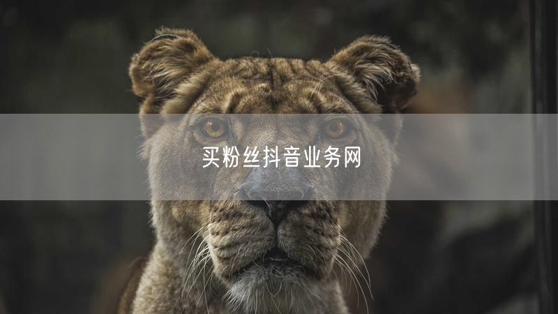 买粉丝抖音业务网