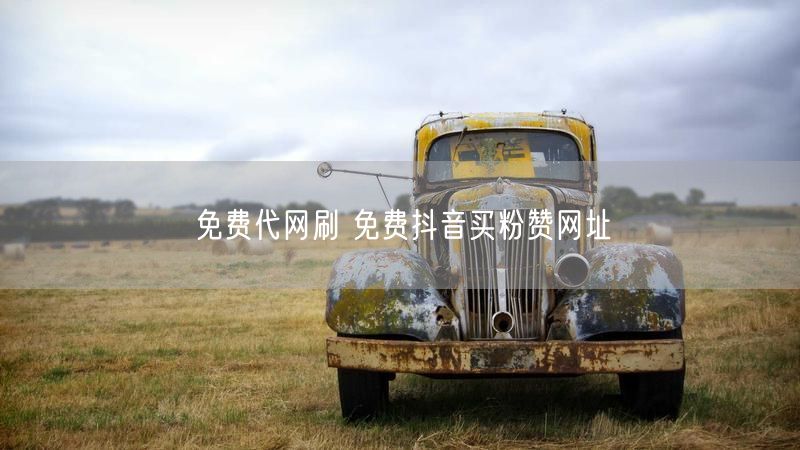 免费代网刷 免费抖音买粉赞网址