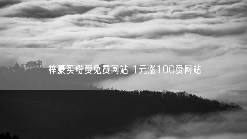 梓豪买粉赞免费网站 1元涨100赞网站