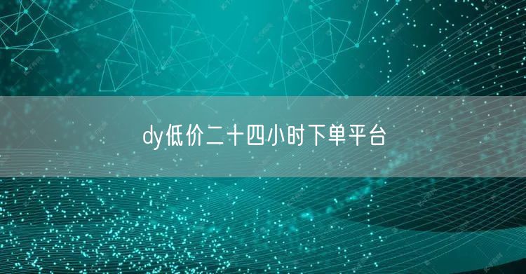 dy低价二十四小时下单平台