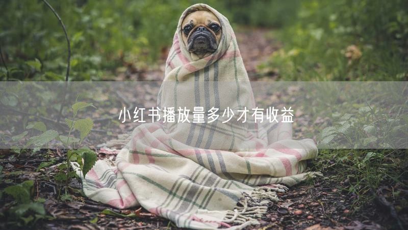 小红书播放量多少才有收益