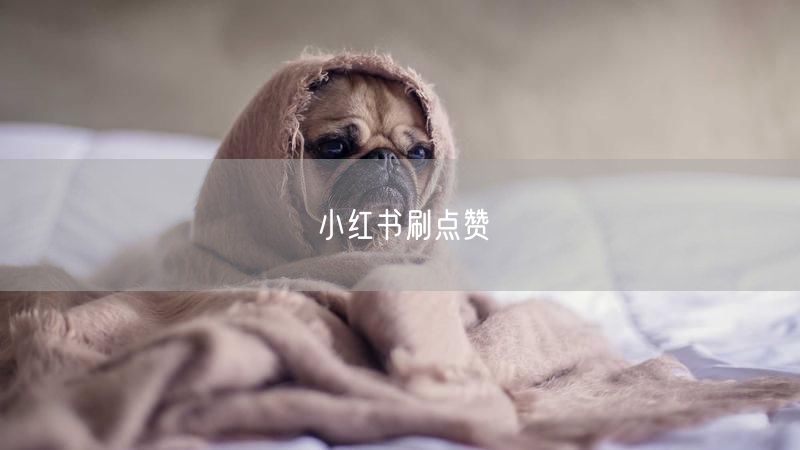 小红书刷点赞