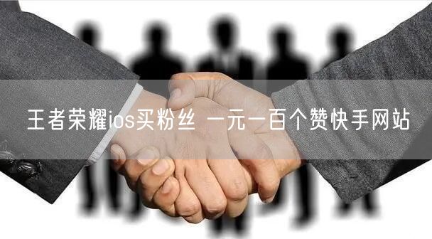 王者荣耀ios买粉丝 一元一百个赞快手网站