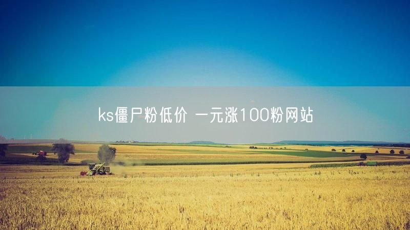 ks僵尸粉低价 一元涨100粉网站