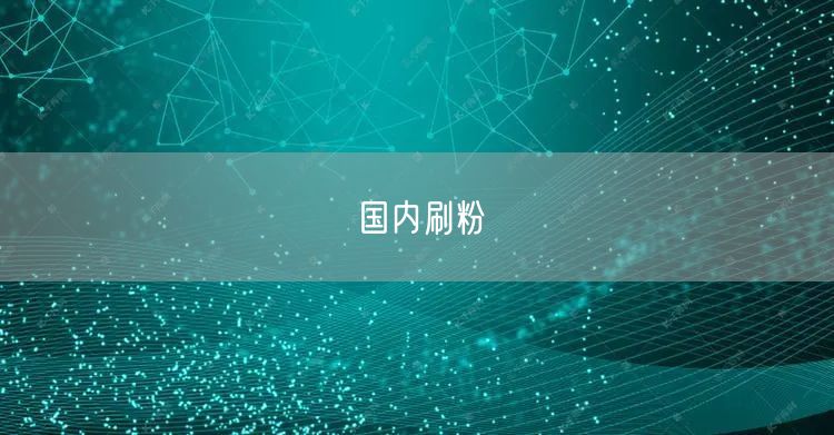 国内刷粉