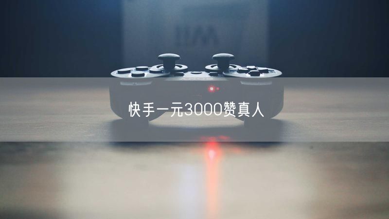 快手一元3000赞真人