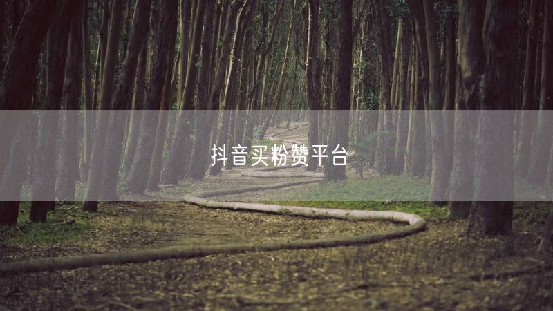 抖音买粉赞平台