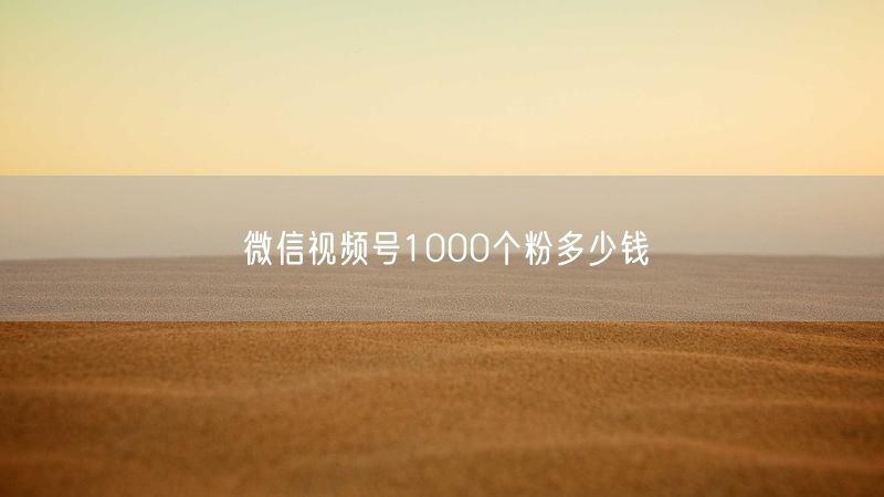 微信视频号1000个粉多少钱