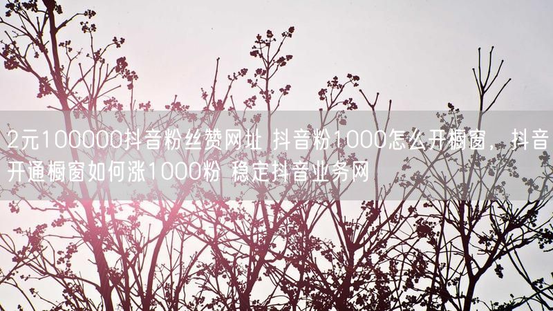 2元100000抖音粉丝赞网址 抖音粉1000怎么开橱窗，抖音开通橱窗如何涨1000粉 稳定抖音业务网