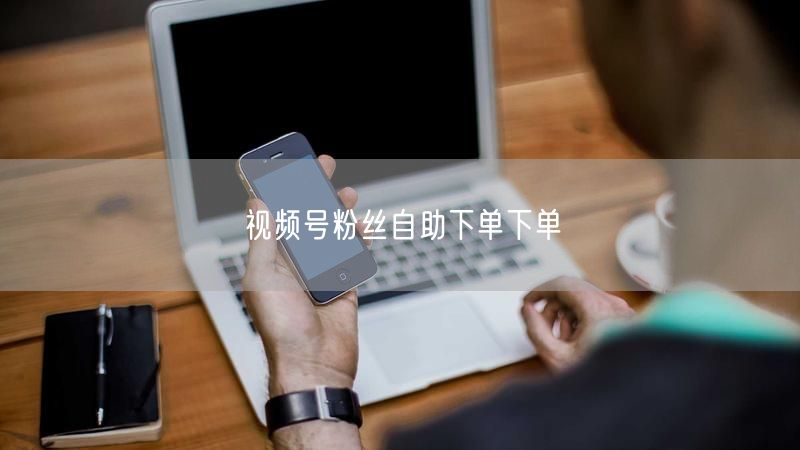 视频号粉丝自助下单下单