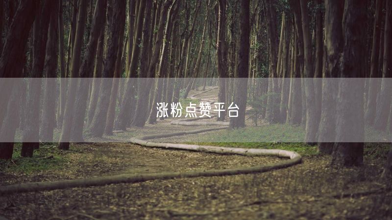涨粉点赞平台